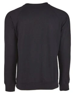Next Level Apparel N9000 - Unisex Laguna French Terry Raglan Sweatshirt -Wordans Shop 1260716 back big