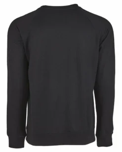 Next Level N9000 - Unisex French Terry Raglan Crew -Wordans Shop 926484 back big